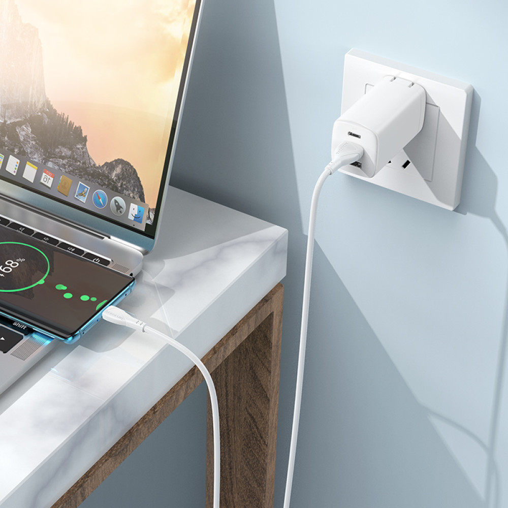 Data Cable Borofone BX121 Energy Type-C 1m