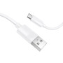 Data Cable Borofone BX123 Leya Type-C 1m