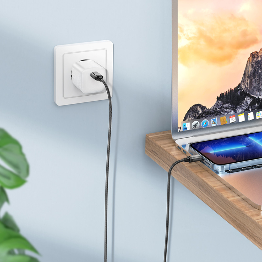 Data Cable Borofone BX87 Sharp Type-C to Lightning 2m