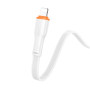 Data Cable Borofone BX118 Esplendido Type-C to Lightning 1m