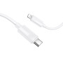 Data Cable Borofone BX123 Leya Type-C to Lightning PD30W 1m