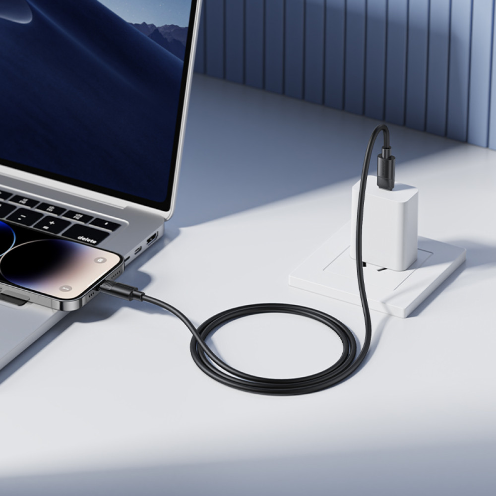 Data Cable Borofone BX123 Leya Type-C to Lightning PD30W 1m