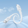 Data Cable Borofone BX111 Feliz Type-C to Type-C 60W 1m