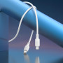 Data Cable Borofone BX113 Lenny Type-C to Type-C 60W 1m