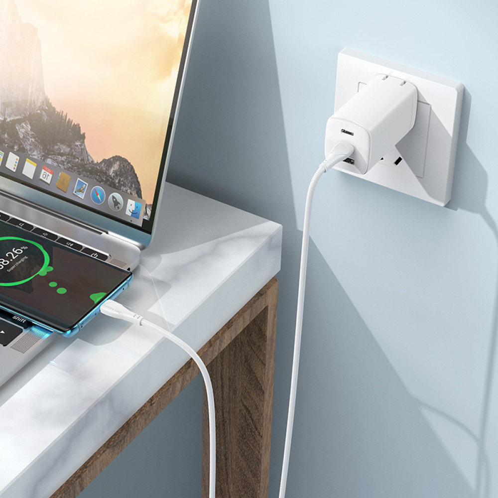 Data Cable Borofone BX121 Energy 60W Type-C to Type-C 1m