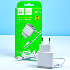  Мережевий зарядний пристрій Denmen DC09L Lightning 1USB 2.4A