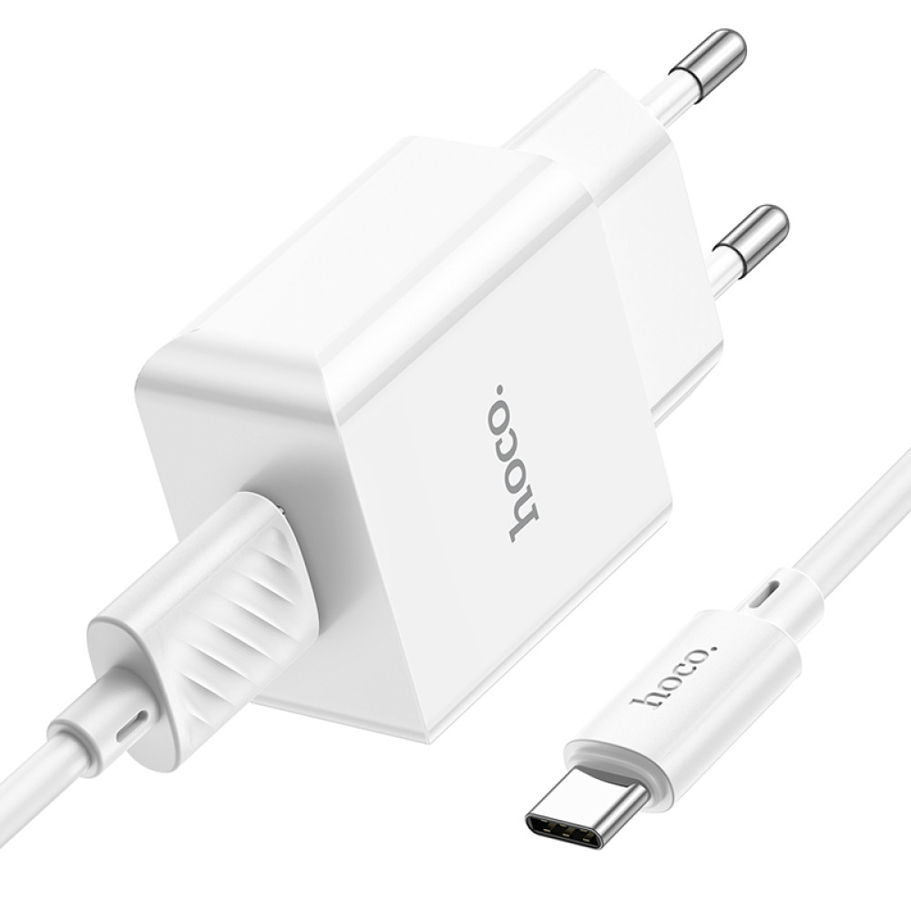 Мережевий зарядний пристрій Hoco C106A Leisure 10.5W Type-C