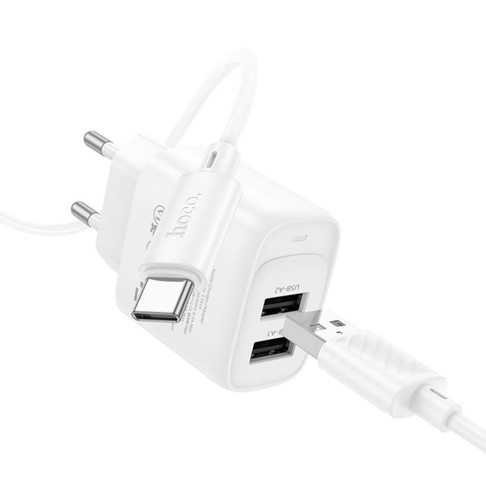 Мережевий зарядний пристрій Hoco C141A Smart 2.1A Type-C