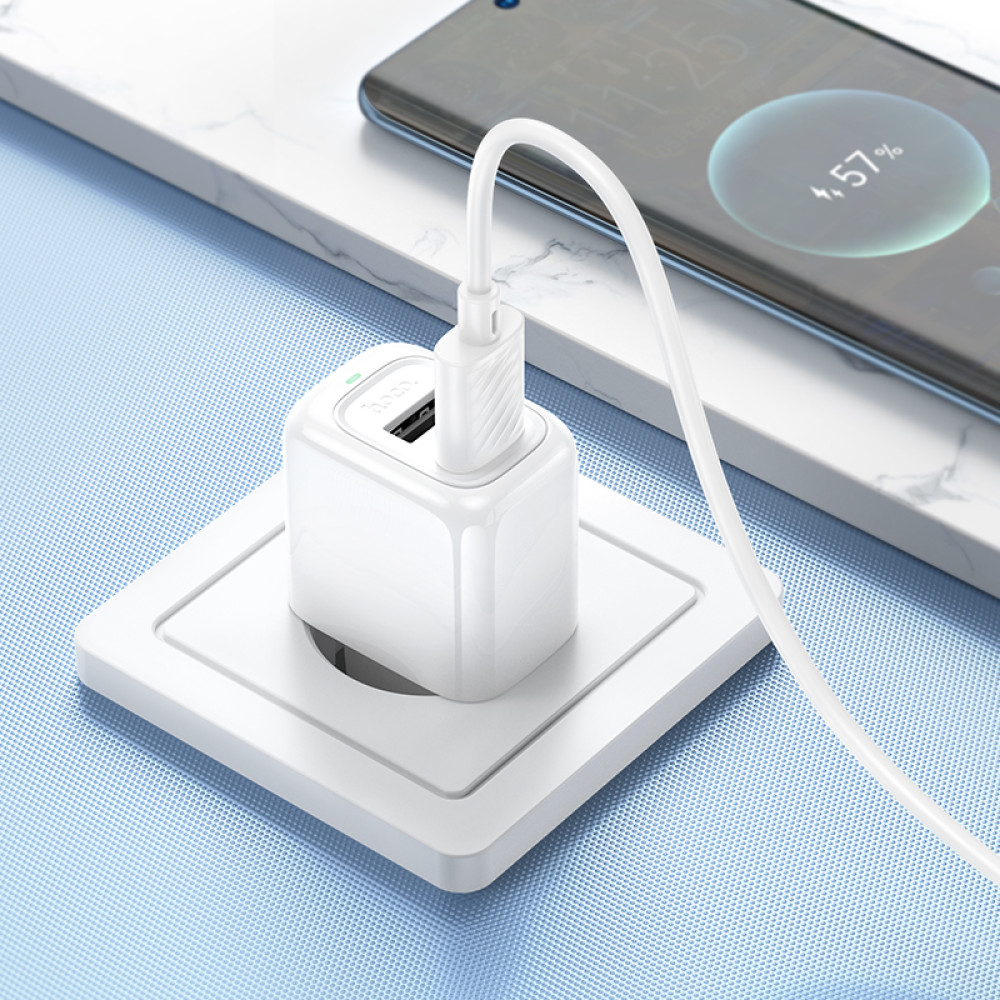 Мережевий зарядний пристрій Hoco CS51A Surplus 2.4A Type-C