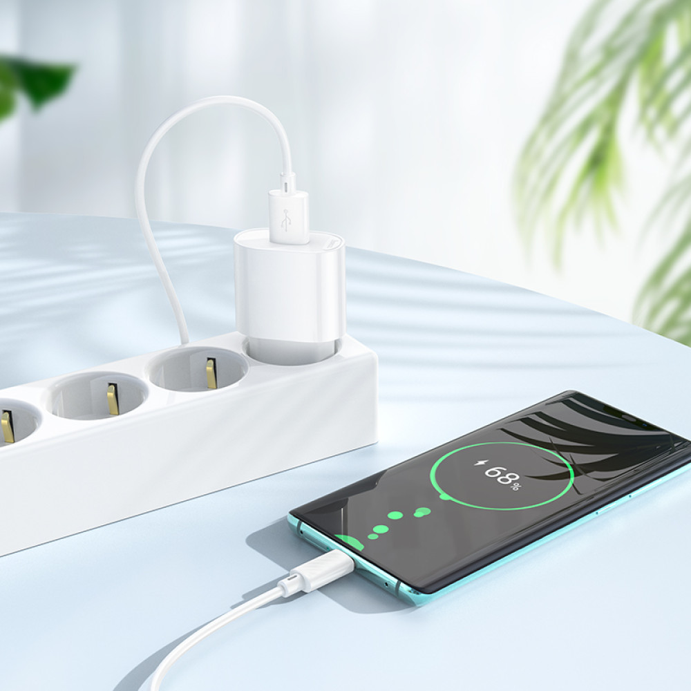 Мережевий зарядний пристрій Hoco C109A Fighter 10.5W Type-C