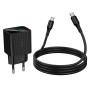 Мережевий зарядний пристрій Hoco CS84A Excellent PD30W+QC3.0 Type-C to Type-C