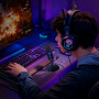 Ігровий мікрофон Hoco L25 Bright (від USB)
