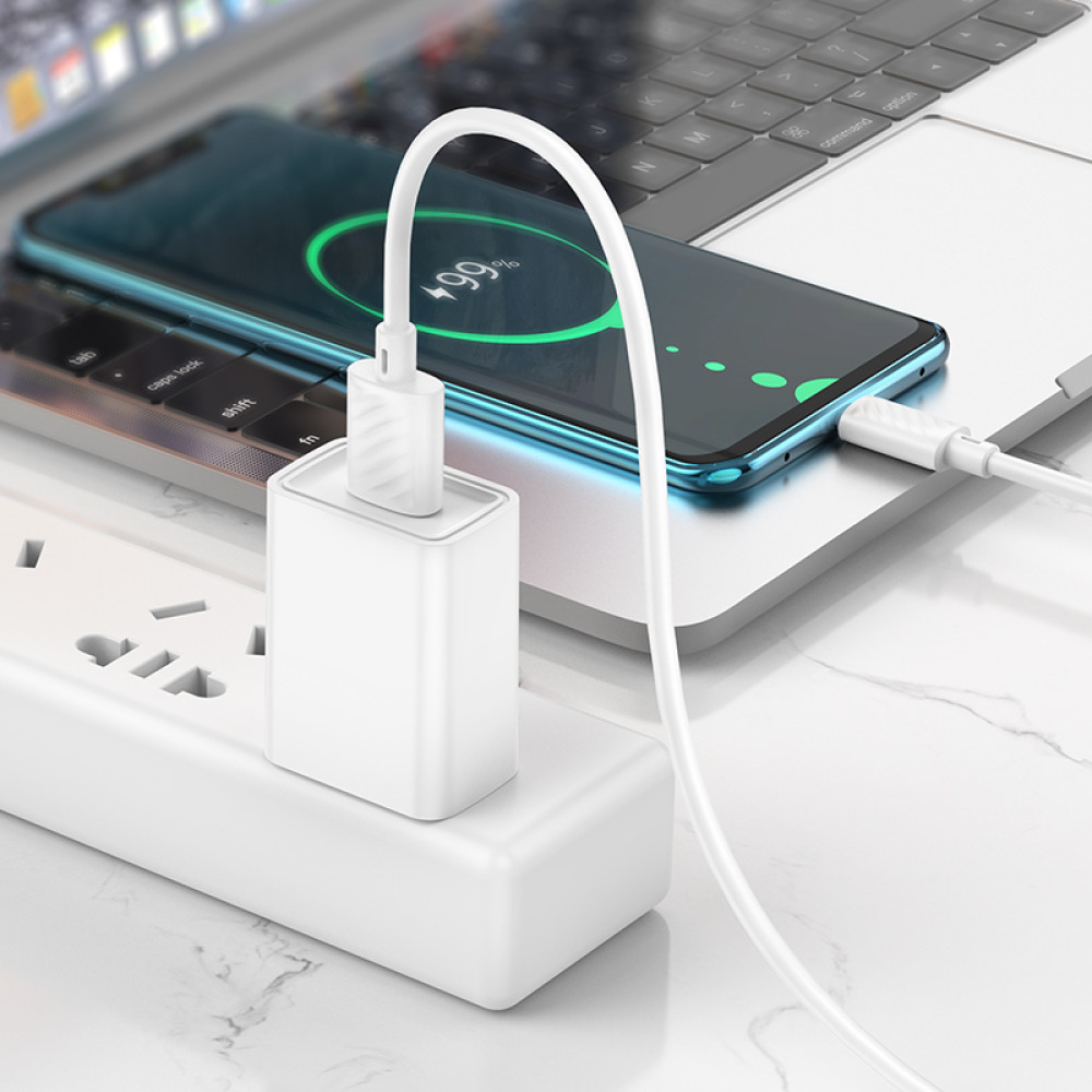 Data Cable Hoco X88 Gratified Type-C 3A 2m