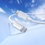 Data Cable Hoco X107 Favor Type-C to Type-C 60W 1m