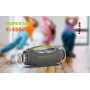 Колонка HOPESTAR A60 Ultra з мікрофоном 450W, 30000mAh (57,2*27,7*22,6 см)