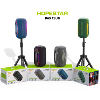 Колонка HOPESTAR P65 Club 220W, 24000mAh (11,1*11,1*11,1 см)