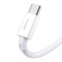 Data Cable Baseus Superior Series Type-C 66W 2m (CATYS-A01, CATYS-A02)